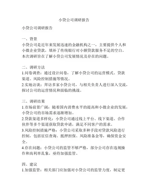 小贷公司调研报告