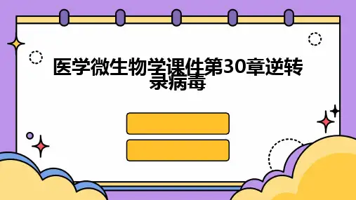 2024版医学微生物学课件第30章逆转录病毒[1]