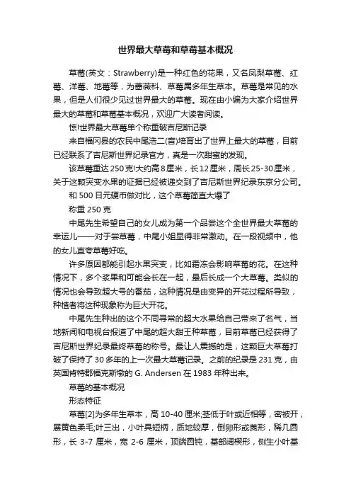 世界最大草莓和草莓基本概况