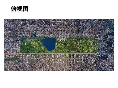 对中央公园的评价共25页