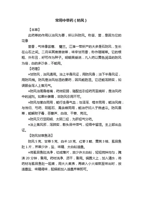 常用中草药（防风）