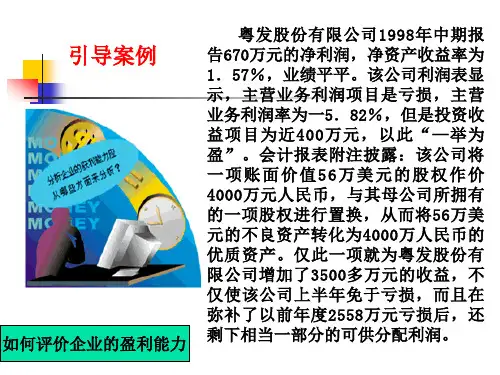 盈利能力分析的概述.pptx