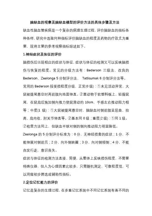 脑缺血的观察及脑缺血模型的评价方法的具体步骤及方法