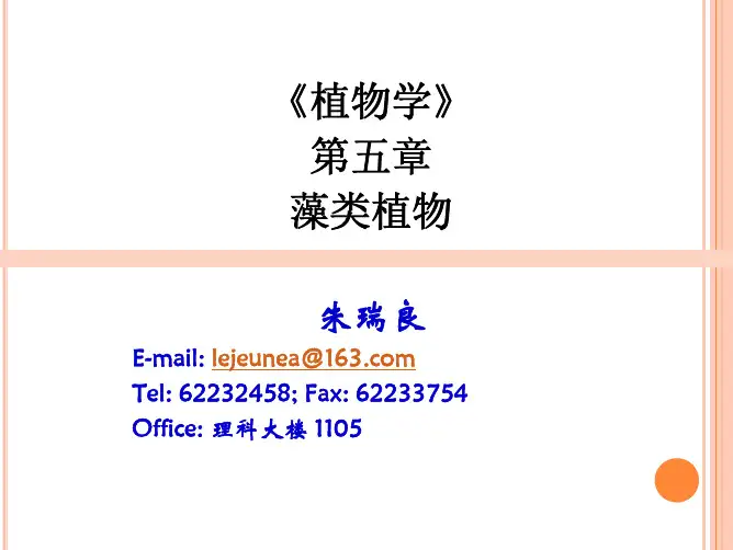 藻类