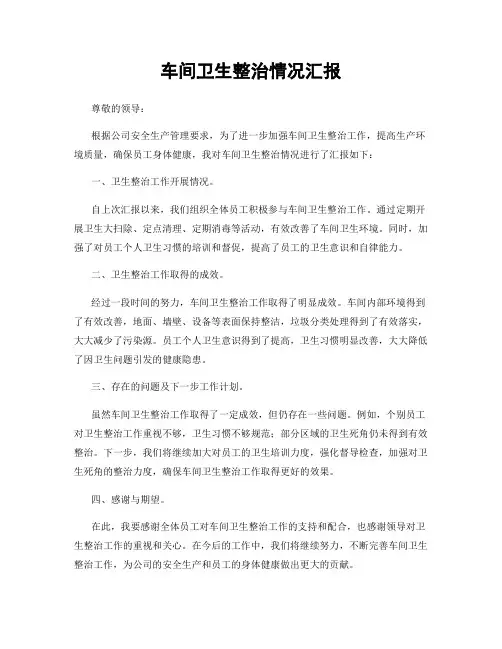 车间卫生整治情况汇报