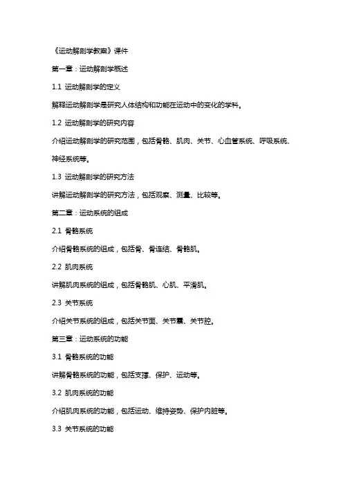《运动解剖学教案》课件