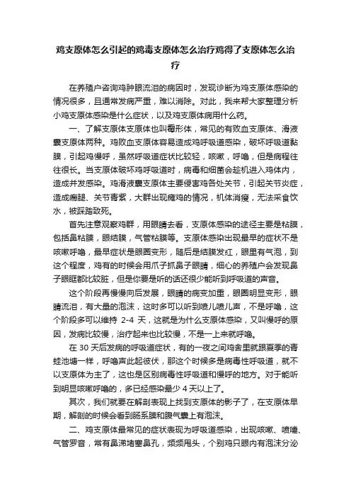 鸡支原体怎么引起的鸡毒支原体怎么治疗鸡得了支原体怎么治疗