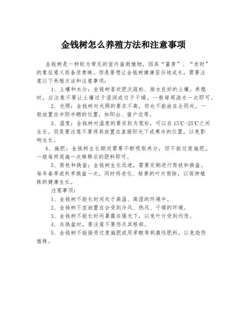 金钱树怎么养殖方法和注意事项