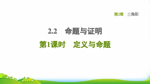 2022八年级数学上册第2章三角形2.2命题与证明第1课时定义与命题课件新版湘教版14