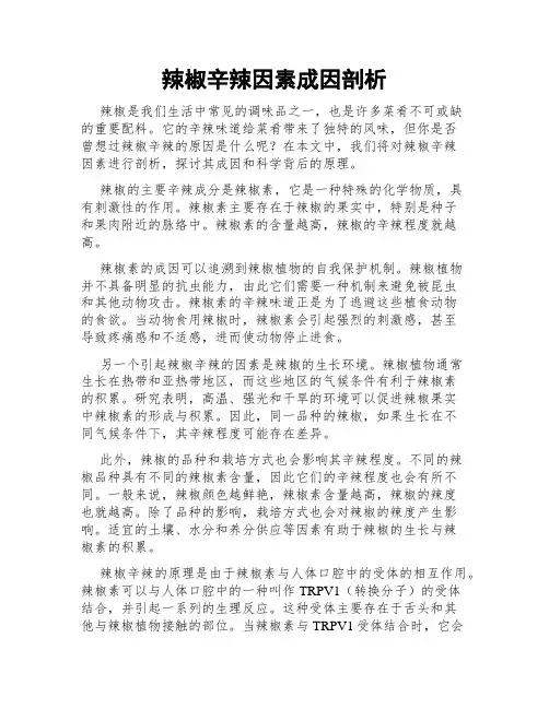 辣椒辛辣因素成因剖析