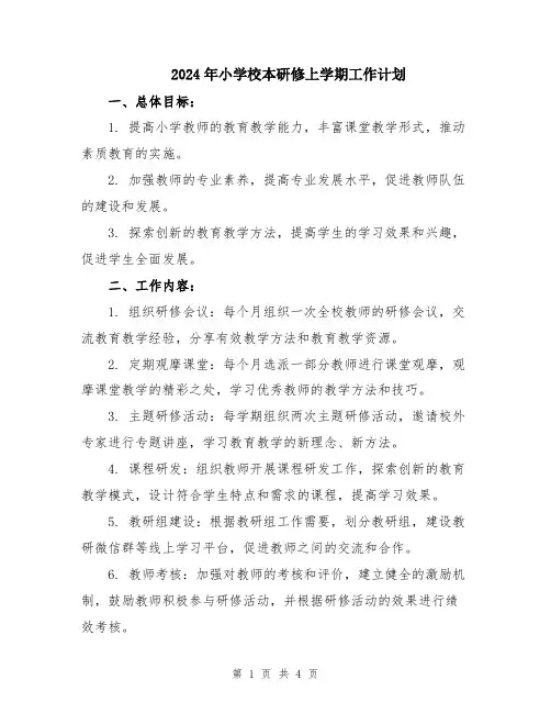 2024年小学校本研修上学期工作计划