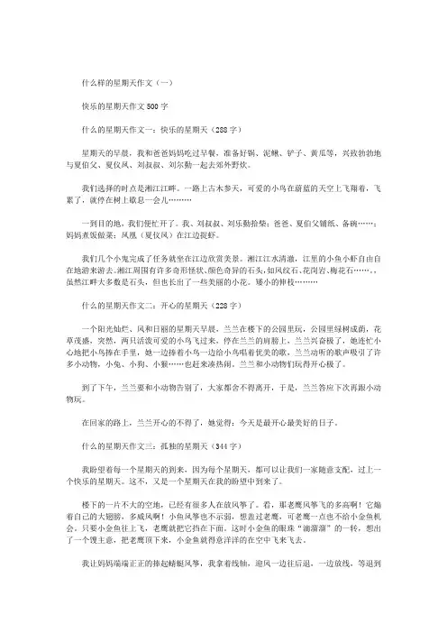 什么样的星期天作文