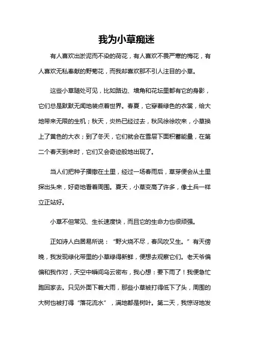 我为小草痴迷作文800字
