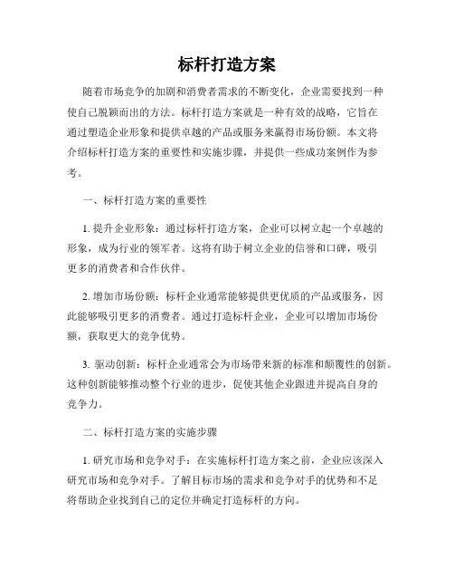 标杆打造方案