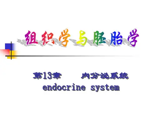 组织学与胚胎学 内分泌系统讲解课件