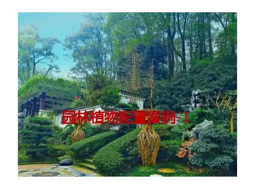 园林植物配置案例图