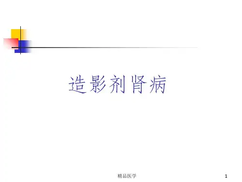 《造影剂肾病》PPT课件