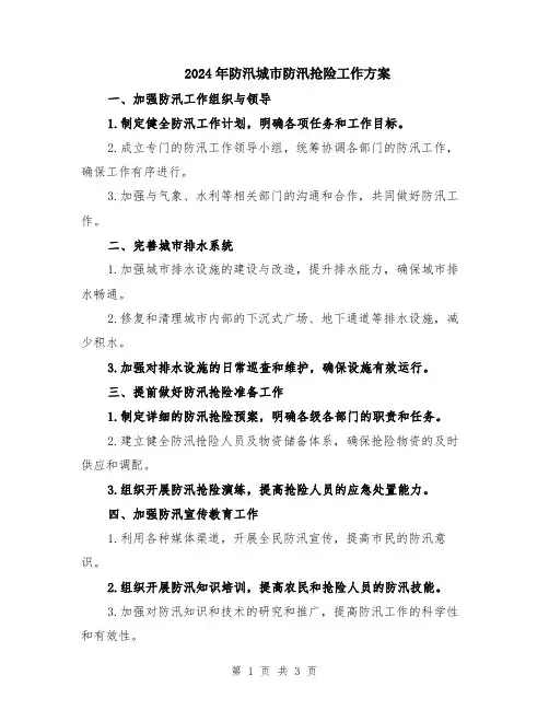 2024年防汛城市防汛抢险工作方案