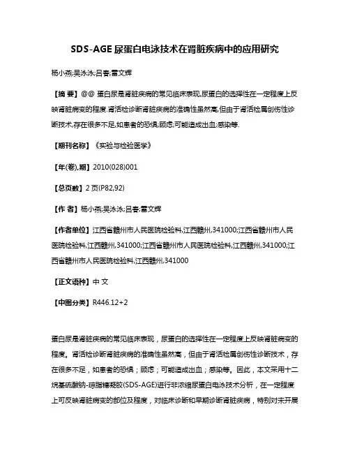 SDS-AGE尿蛋白电泳技术在肾脏疾病中的应用研究