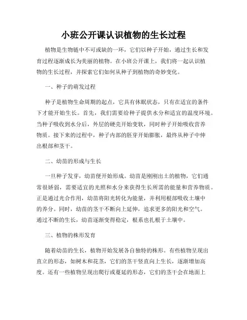 小班公开课认识植物的生长过程