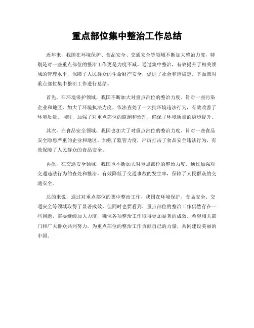 重点部位集中整治工作总结