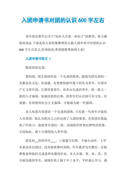 入团申请书对团的认识600字左右