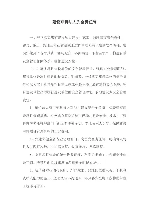 建设项目法人安全责任制