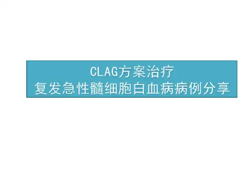 CLAG方案治疗复发急性髓细胞白血病病例分享