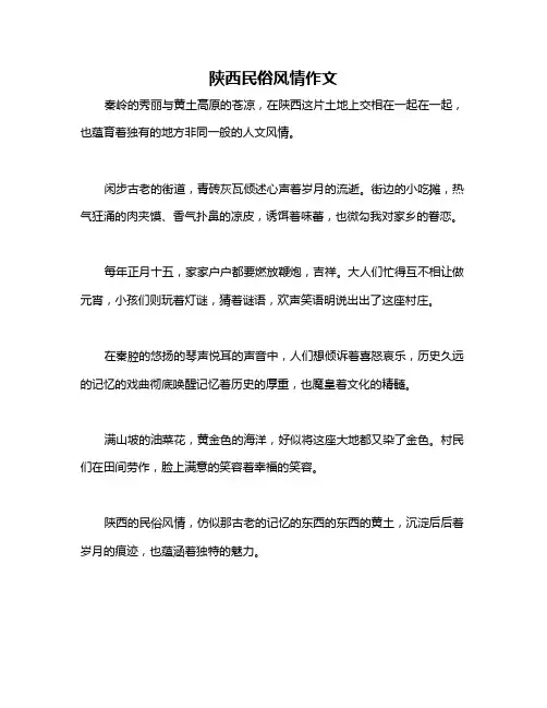 陕西民俗风情作文