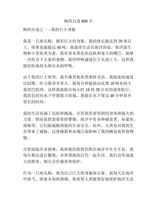鲸的自述600字