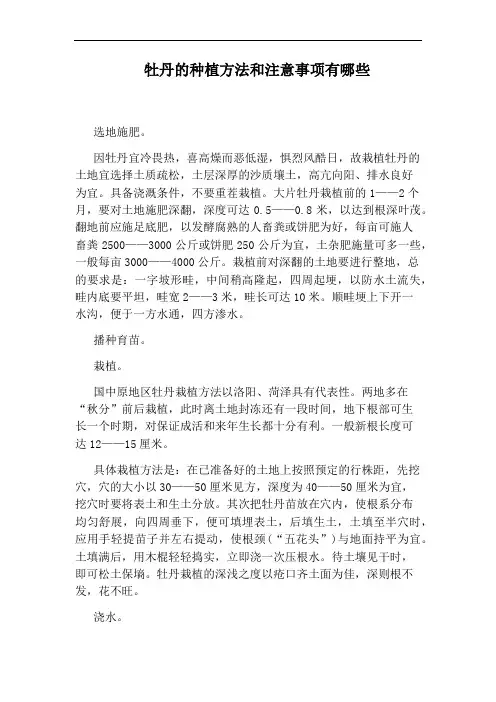 牡丹的种植方法和注意事项有哪些