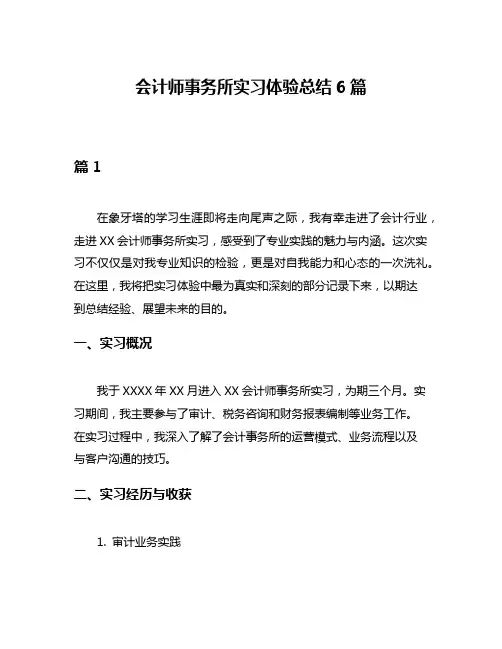 会计师事务所实习体验总结6篇