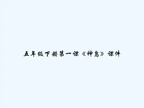 五年级下册第一课《神鸟》课件 PPT