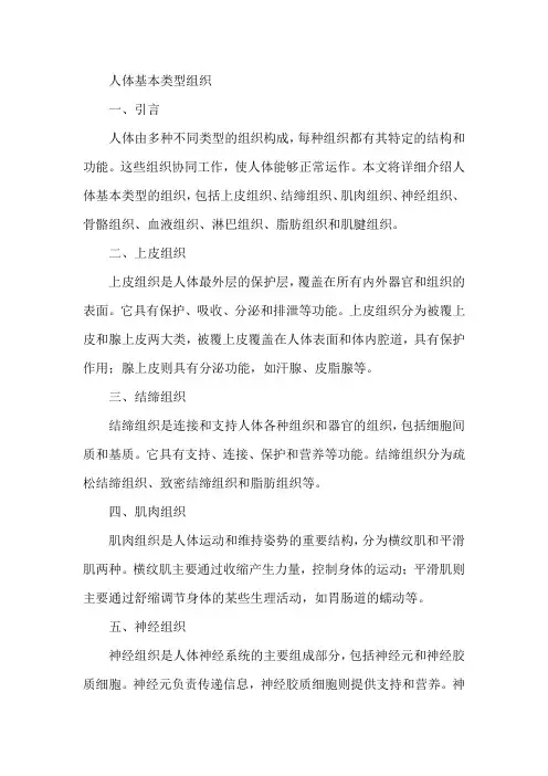 人体基本类型组织