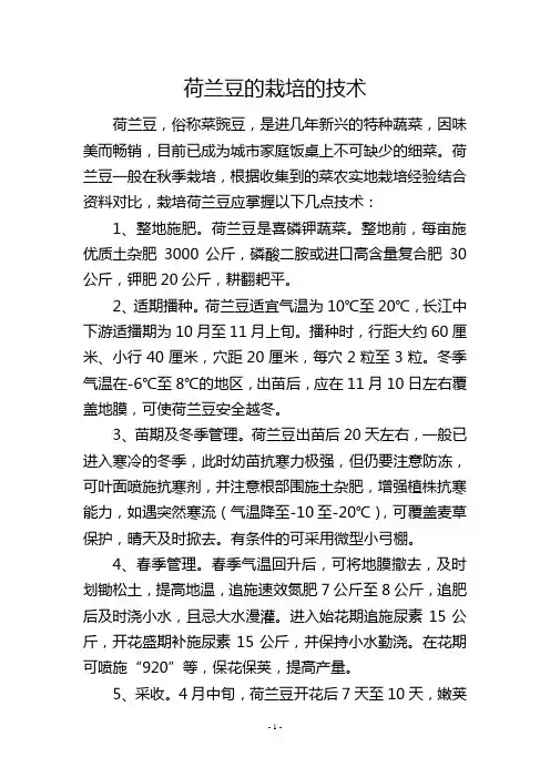 荷兰豆的栽培的技术