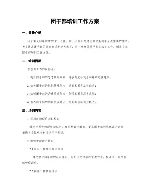 团干部培训工作方案