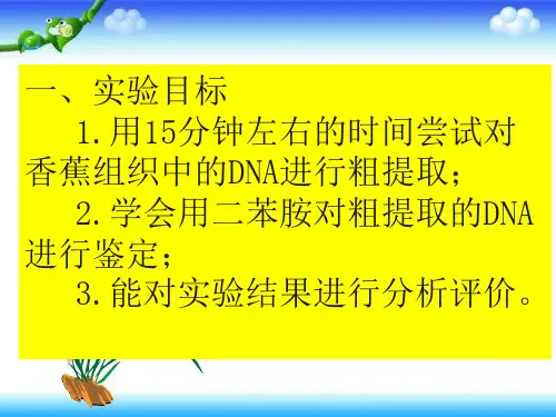 DNA的粗提取与鉴定
