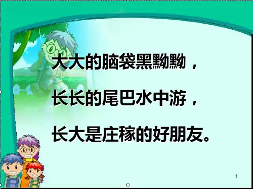 部编二年级上册第一课《小蝌蚪找妈妈》课件PPT全篇