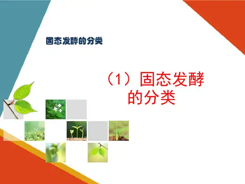 固态发酵反应器的认知与操作—固态发酵概述
