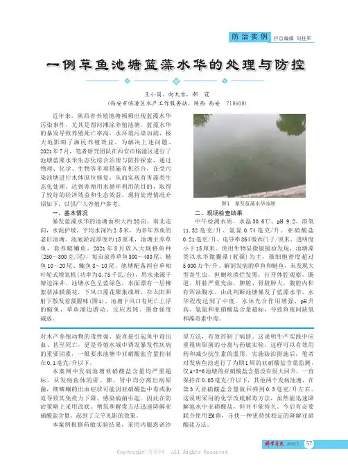 一例草鱼池塘蓝藻水华的处理与防控