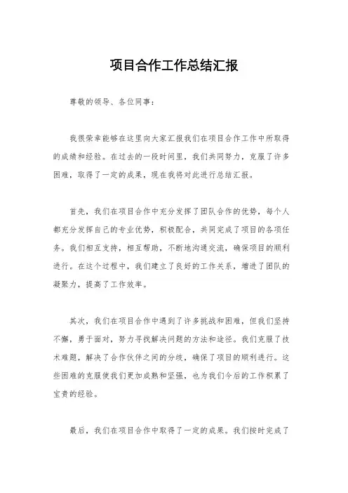 项目合作工作总结汇报