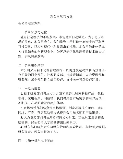 新公司运营方案