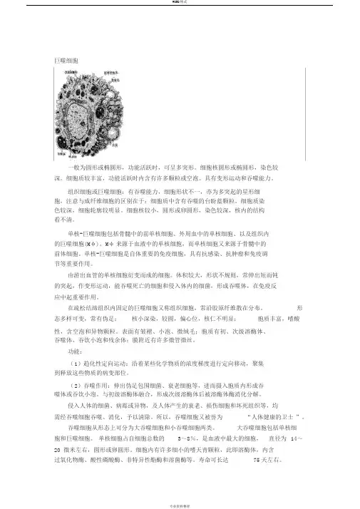 巨噬细胞