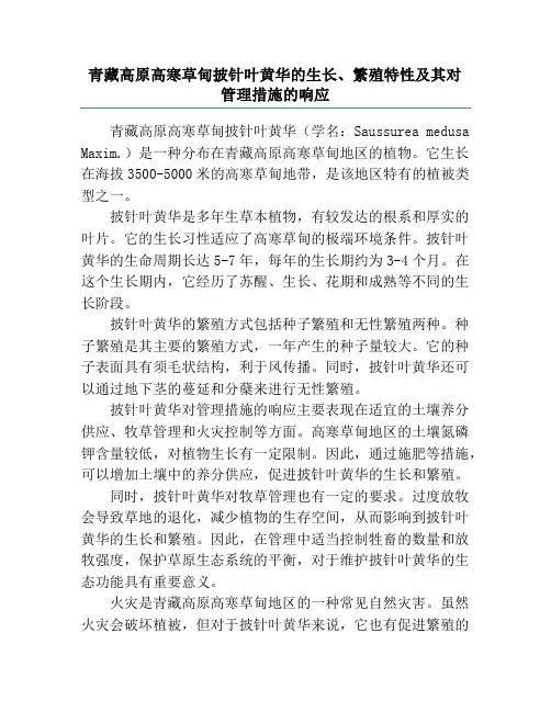 青藏高原高寒草甸披针叶黄华的生长、繁殖特性及其对管理措施的响应