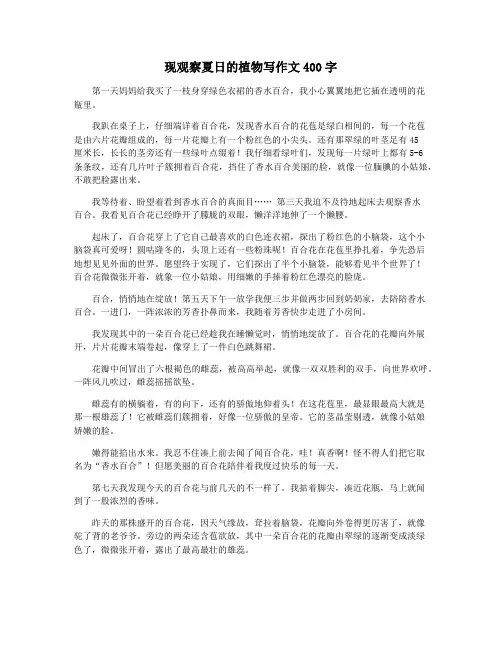 现观察夏日的植物写作文400字