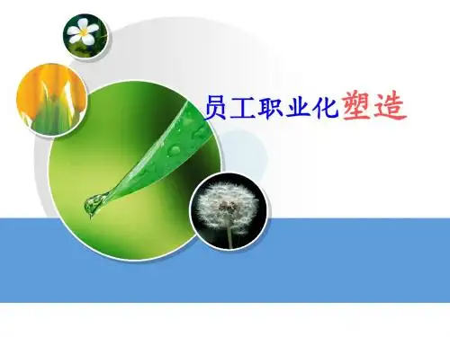 职业化-工作态度(套-1)