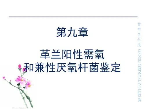 第9章 革兰阳性氧和兼性厌杆菌鉴定