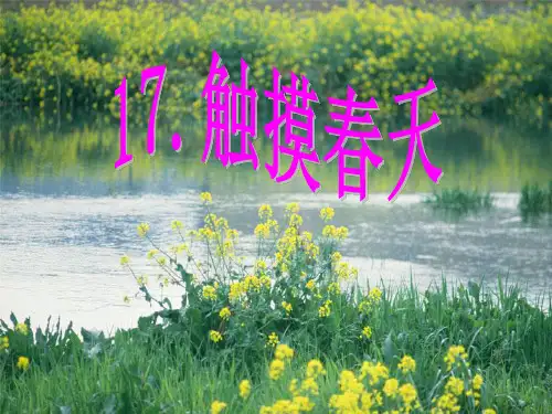 四年级上册语文课件-13触摸春天｜鲁教版共19张PPT