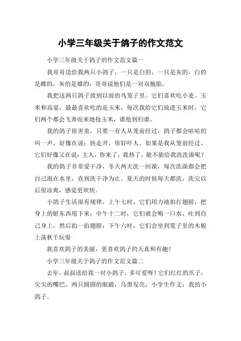 小学三年级关于鸽子的作文范文