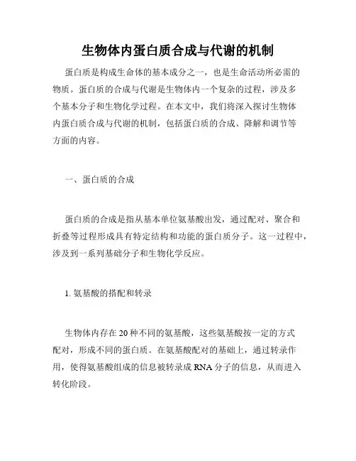生物体内蛋白质合成与代谢的机制